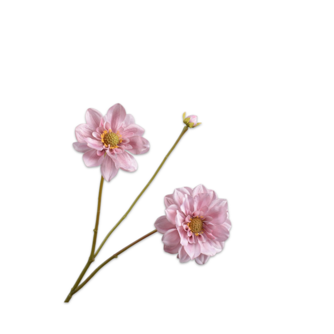 Silk-Ka DAHLIA TAK ROZE 75 cm