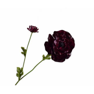 Silk-Ka RANONKEL TAK BORDEAUX RT 63 cm Silk-Ka RANONKEL TAK BORDEAUX RT 63 cm