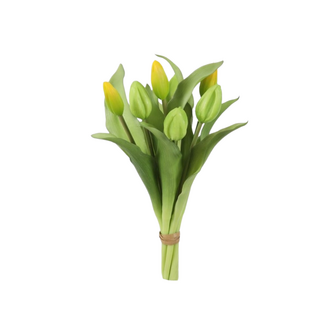 Tulpenbundel x7 – Kort bosje tulpen 32 cm groen/geel