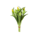 Tulpenbundel x7 – Kort bosje tulpen 32 cm groen/geel