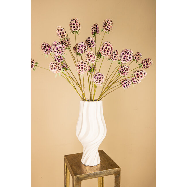 PTMD Garden Flower Pink scabiosa spray