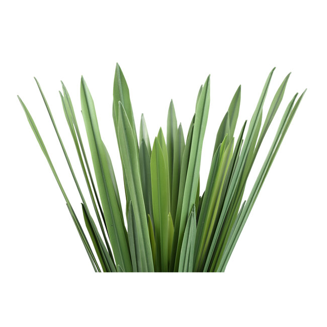 PTMD Leaves Plant Green - Dracaena Grass Pick (62cm)
