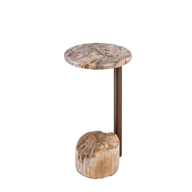 PTMD Ataja Natural petrified wood sidetable brass leg