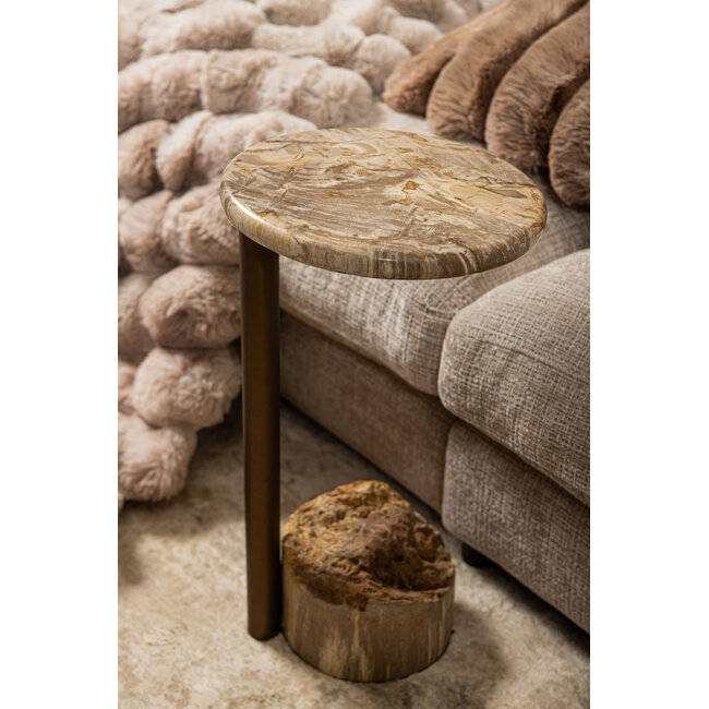PTMD Ataja Natural petrified wood sidetable brass leg