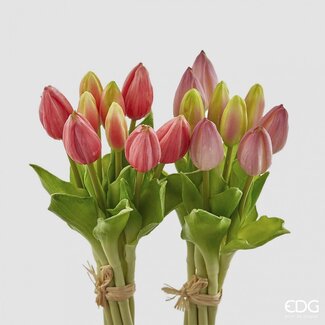 EDG Bosje Tulpen Two tone Pink 9 stuks h29 cm (2 assorti)