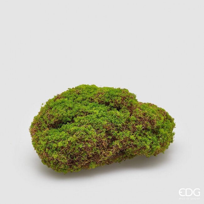 EDG MOS PLAG GROEN 26x16x11cm