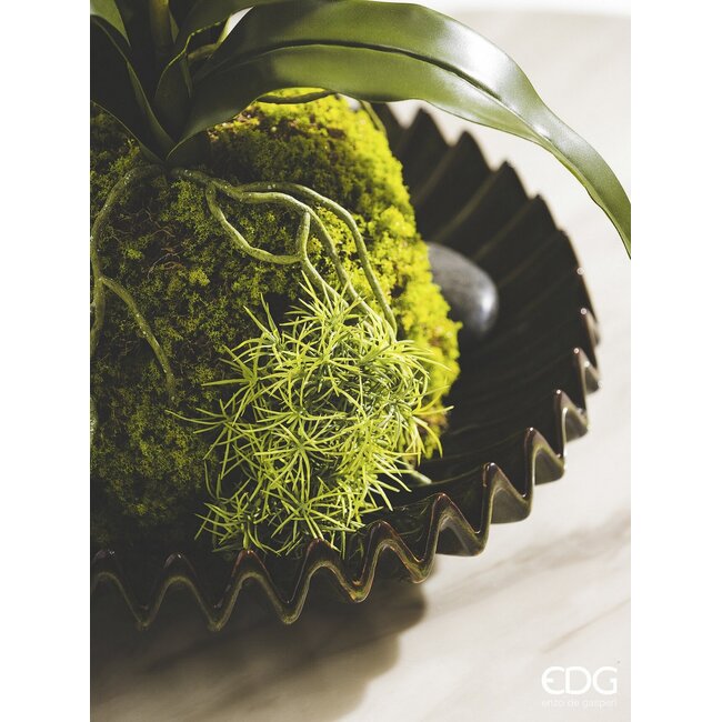 EDG MOS PLAG GROEN 26x16x11cm