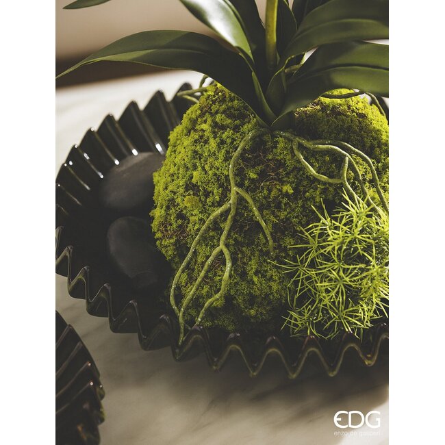 EDG MOS PLAG GROEN 26x16x11cm