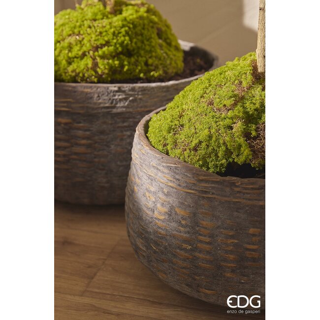 EDG MOS PLAG GROEN 26x16x11cm