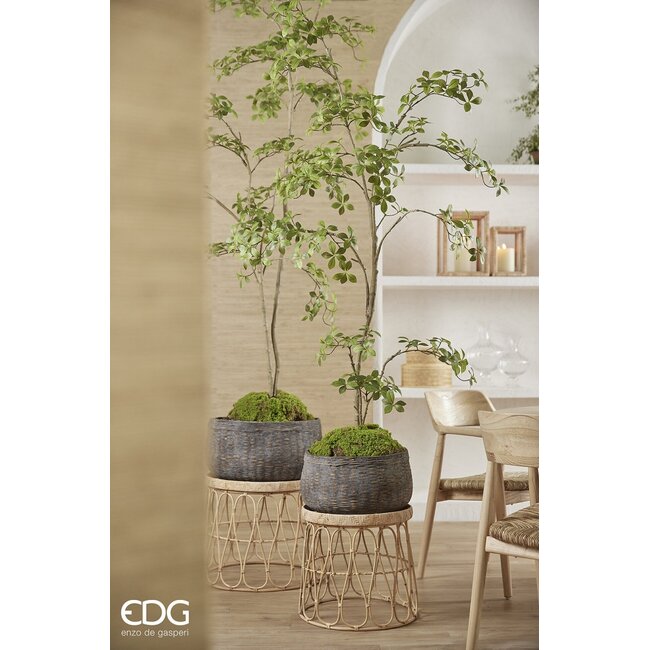 EDG MOS PLAG GROEN 26x16x11cm