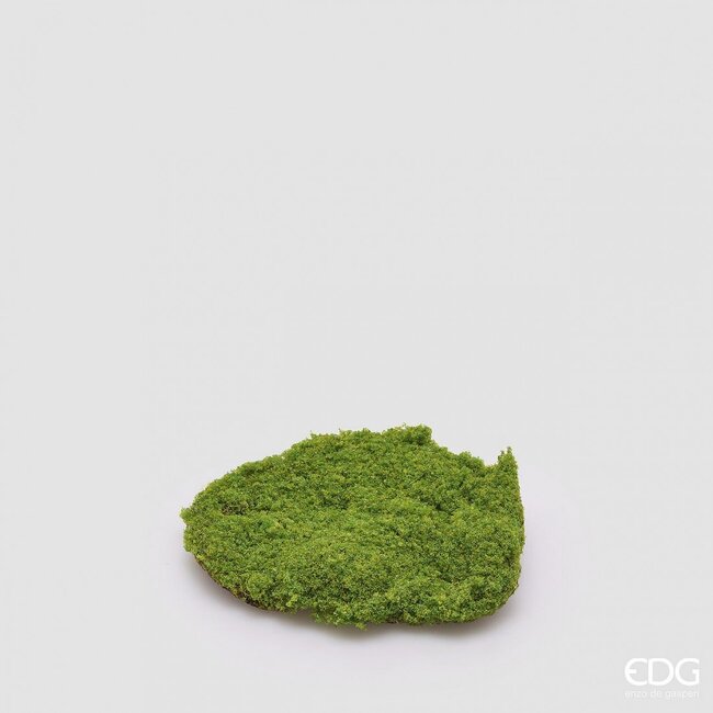 EDG MOS PLAG GROEN Ø20 cm h: 5