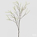 EDG Willow Branch White 100 cm