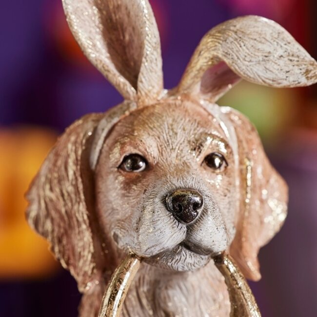 Hond met Paasmandje, Bruin