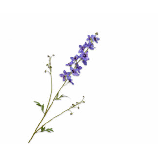 Silk-Ka DELPHINIUM TAK LAV/PRS 101 cm