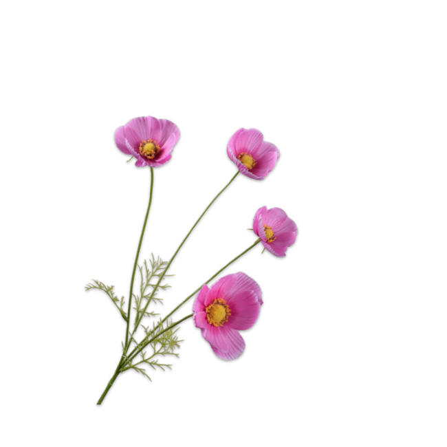 Silk-Ka COSMOS TAK ROZE 61 cm