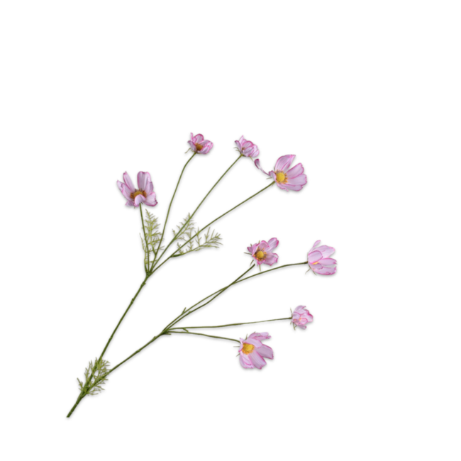 Silk-Ka COSMOS TAK ROZE LT 102 cm