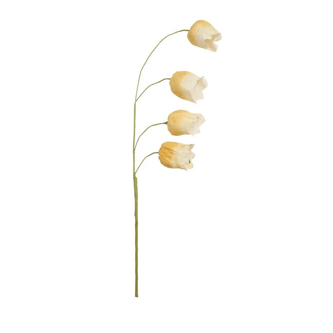 Light & Living Kunstbloem 15x15x70 cm CAIN papier groen+okergeel