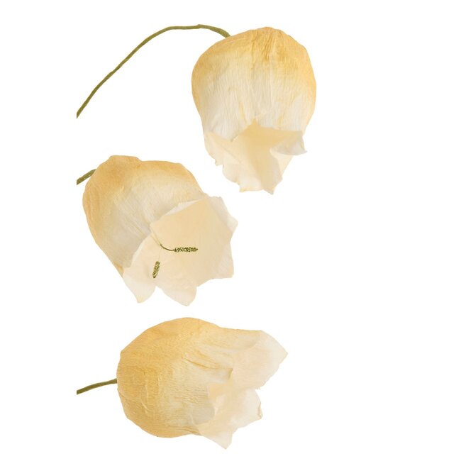 Light & Living Kunstbloem 15x15x70 cm CAIN papier groen+okergeel