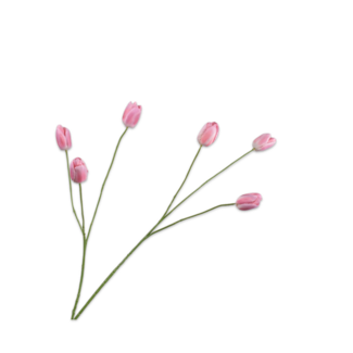 Silk-Ka TULP TAK ROZE 100 cm