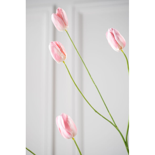 Silk-Ka TULP TAK ROZE 100 cm