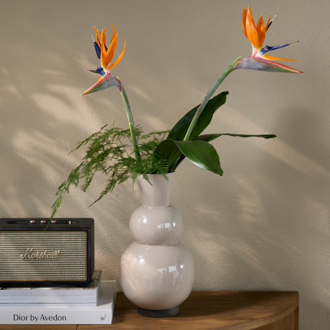 Riviera Maison Olera Vase L