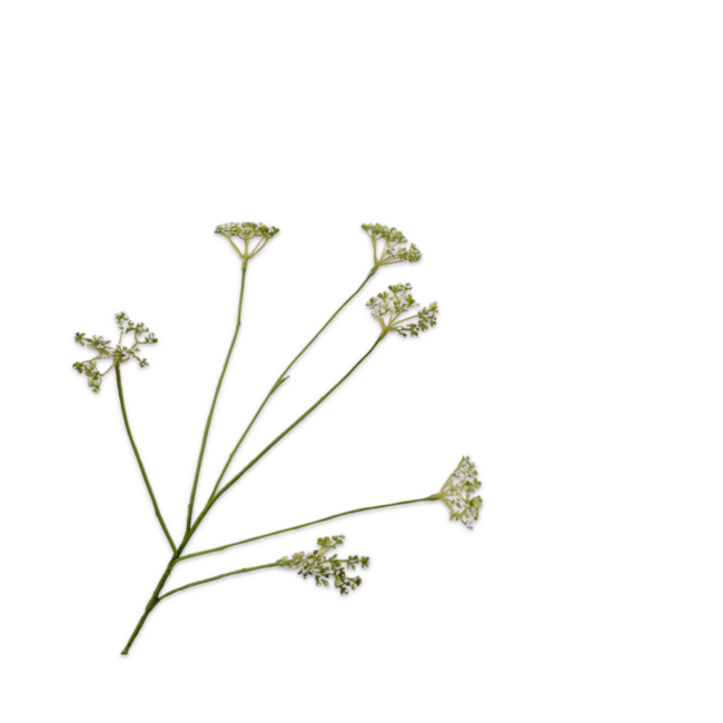 Silk-Ka DILLE TAK GROEN 66 cm