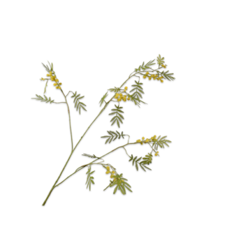 Silk-Ka MIMOSA TAK GL/GRN 96 cm