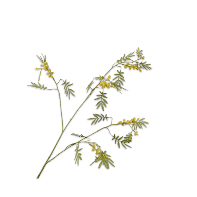 Silk-Ka MIMOSA TAK GL/GRN 96 cm