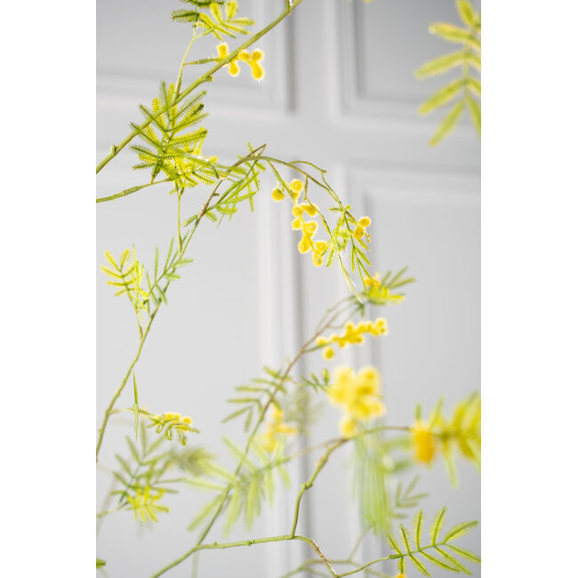 Silk-Ka MIMOSA TAK GL/GRN 96 cm