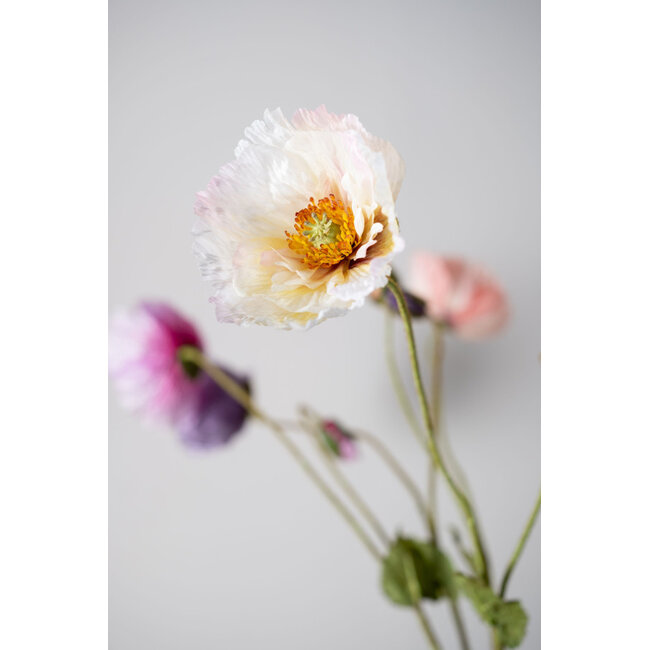 Silk-Ka KLAPROOS TAK CREME 74 cm