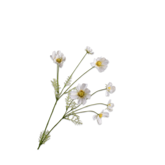 Silk-Ka COSMOS TAK WIT LT 102 cm