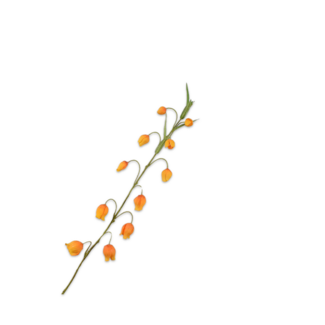 Silk-Ka SANDERSONIA TAK ORANJE 85 cm