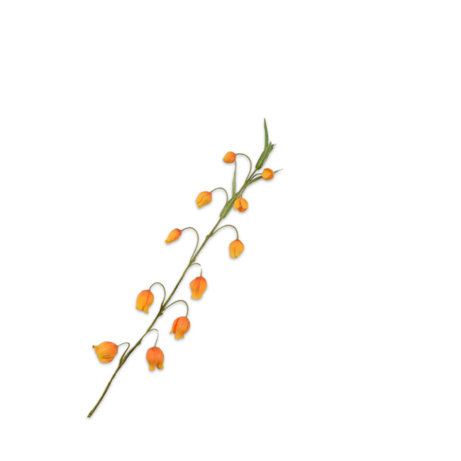 Silk-Ka SANDERSONIA TAK ORANJE 85 cm