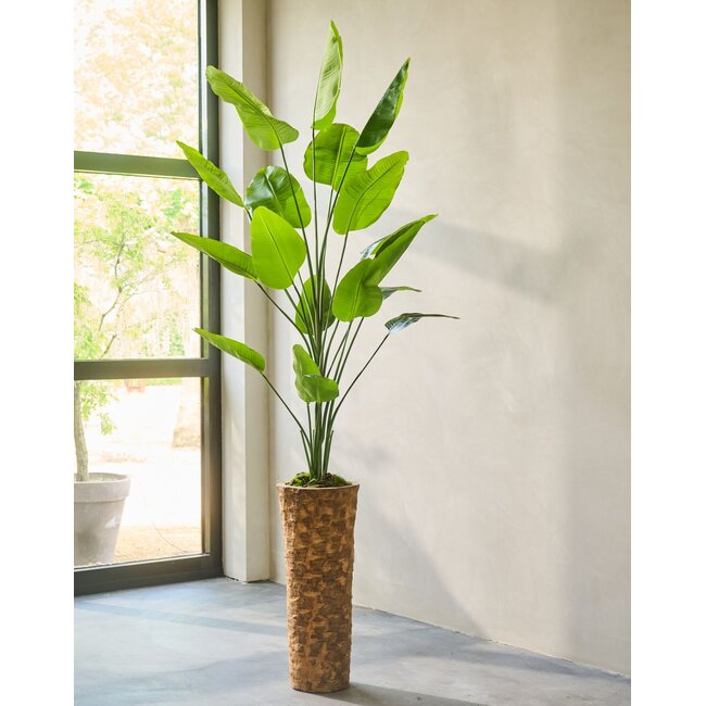 Silk-Ka STRELITZIA I/POT GROEN 240 cm