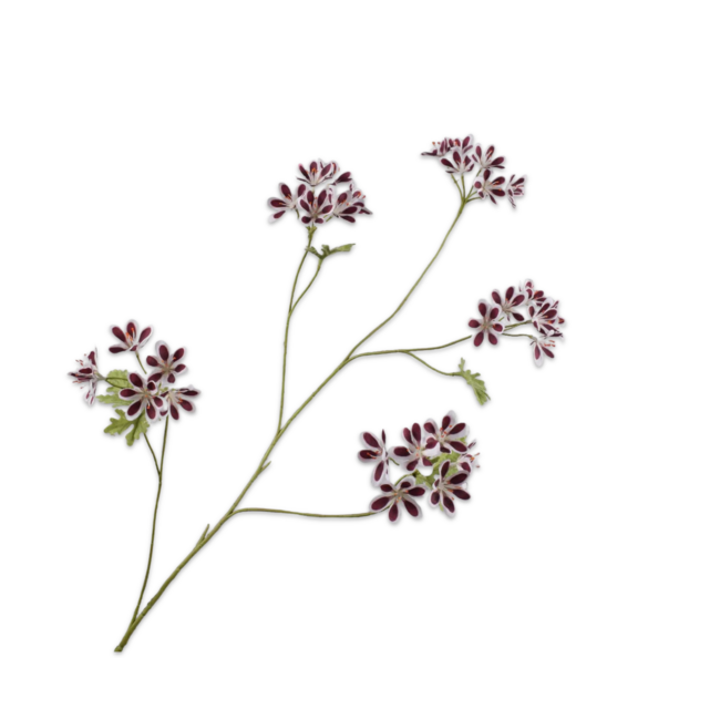 Silk-Ka GERANIUM TAK BOR/WIT 94 cm