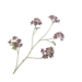 Silk-Ka GERANIUM TAK BOR/WIT 94 cm