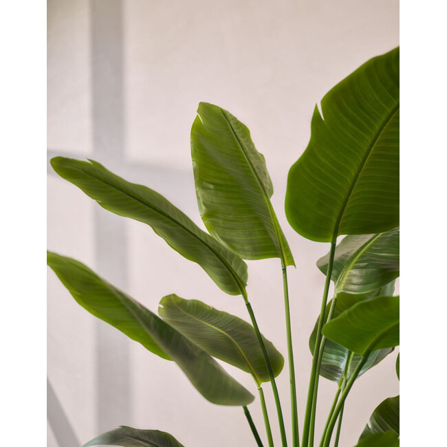 Silk-Ka STRELITZIA I/POT GROEN 150 cm