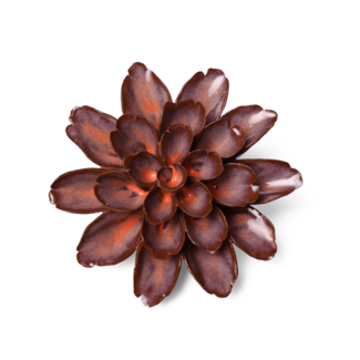 Chive Inc Keramieken bloem Peach Mocha Cornflower