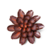 Chive Inc Keramieken bloem Peach Mocha Cornflower