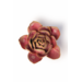 Chive Inc Keramieken bloem Rose Quartz Pink Narcissus