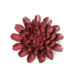 Chive Inc Keramieken bloem Blush Pink Star Dahlia