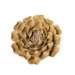 Chive Inc Keramieken bloem Caramel Charm Peony