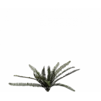 Silk-Ka VAREN BUSH GROEN FR 42 cm
