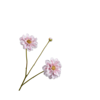 Silk-Ka DAHLIA TAK ROZ/CR 75 cm Silk-Ka DAHLIA TAK ROZ/CR 75 cm