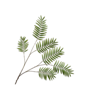 Silk-Ka VAREN TAK GROEN 121 cm Silk-Ka VAREN TAK GROEN 121 cm
