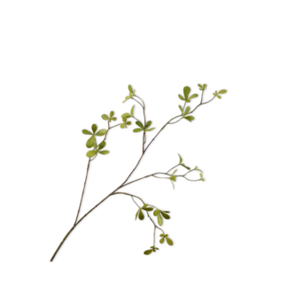 Silk-Ka BUCIDA TAK GROEN 77 cm