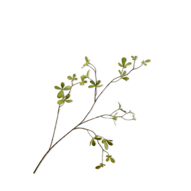 Silk-Ka BUCIDA TAK GROEN 77 cm