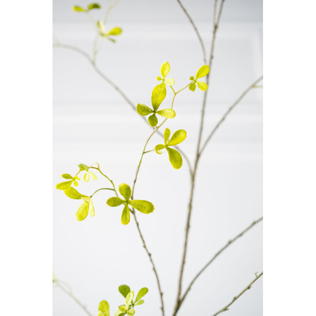Silk-Ka BUCIDA TAK GROEN 77 cm