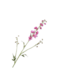 Silk-Ka DELPHINIUM TAK BEAUTY 101 cm