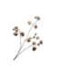 Silk-Ka PHYSALIS TAK GOUD 92 cm